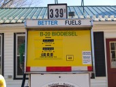 Biodiesel Pump